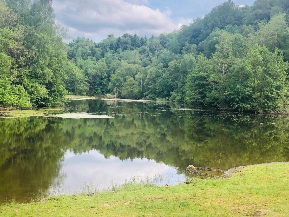 Gemuetliche Fewo Naehe Hachenburg, Bad Marienberg Langenbach bei Kirburg Екстериор снимка