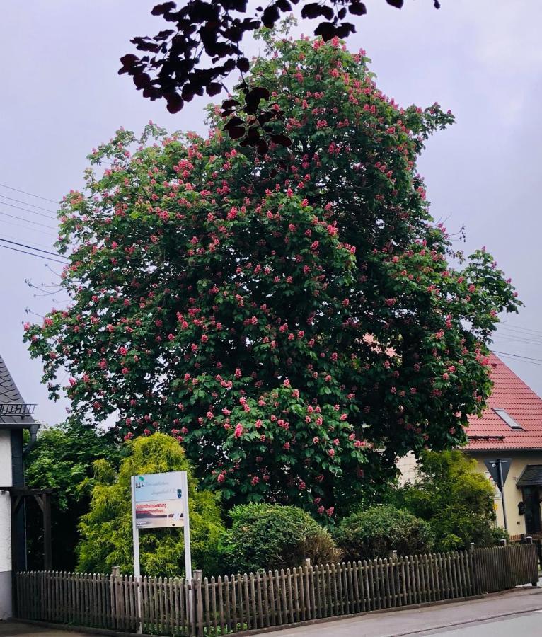 Gemuetliche Fewo Naehe Hachenburg, Bad Marienberg Langenbach bei Kirburg Екстериор снимка